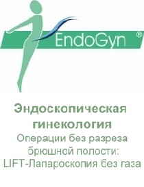 EndoGyn  Innovative Gynäkologie mit Lift-Laparaskopie